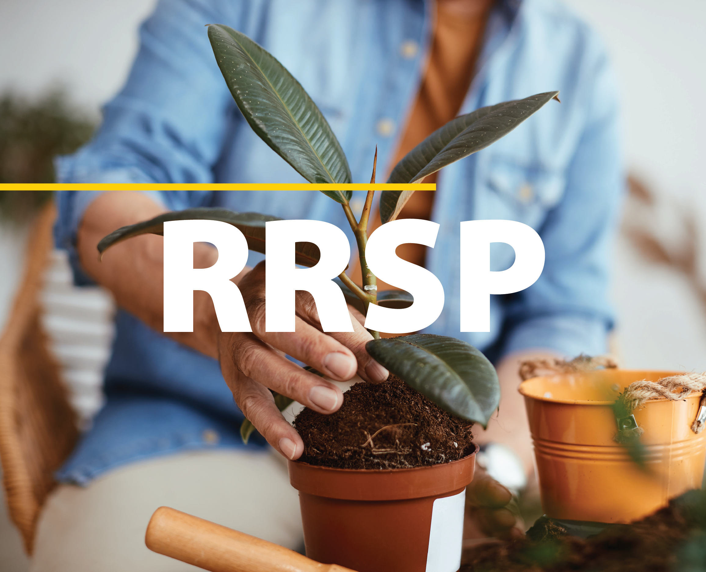 RRSP